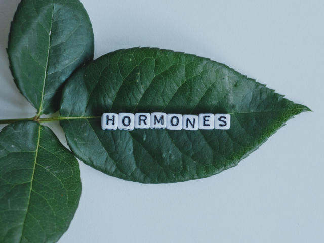 5 Common Myths About Hormone Replacement Therapy, Debunked