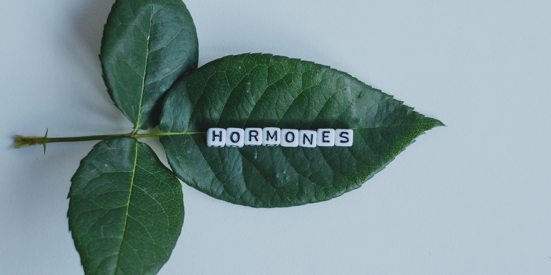 Common Myths about Hormone Replacement Therapy