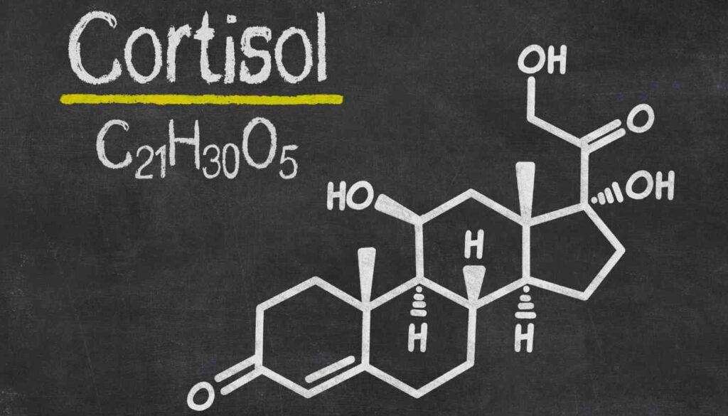 High cortisol level