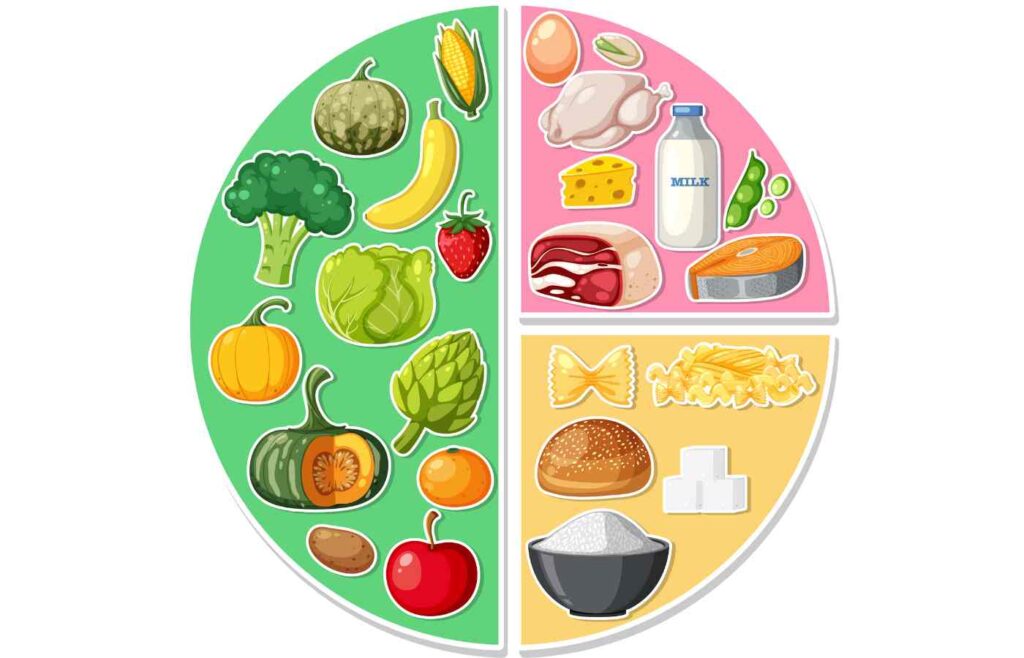 macronutrient protein carbohydrate and fat