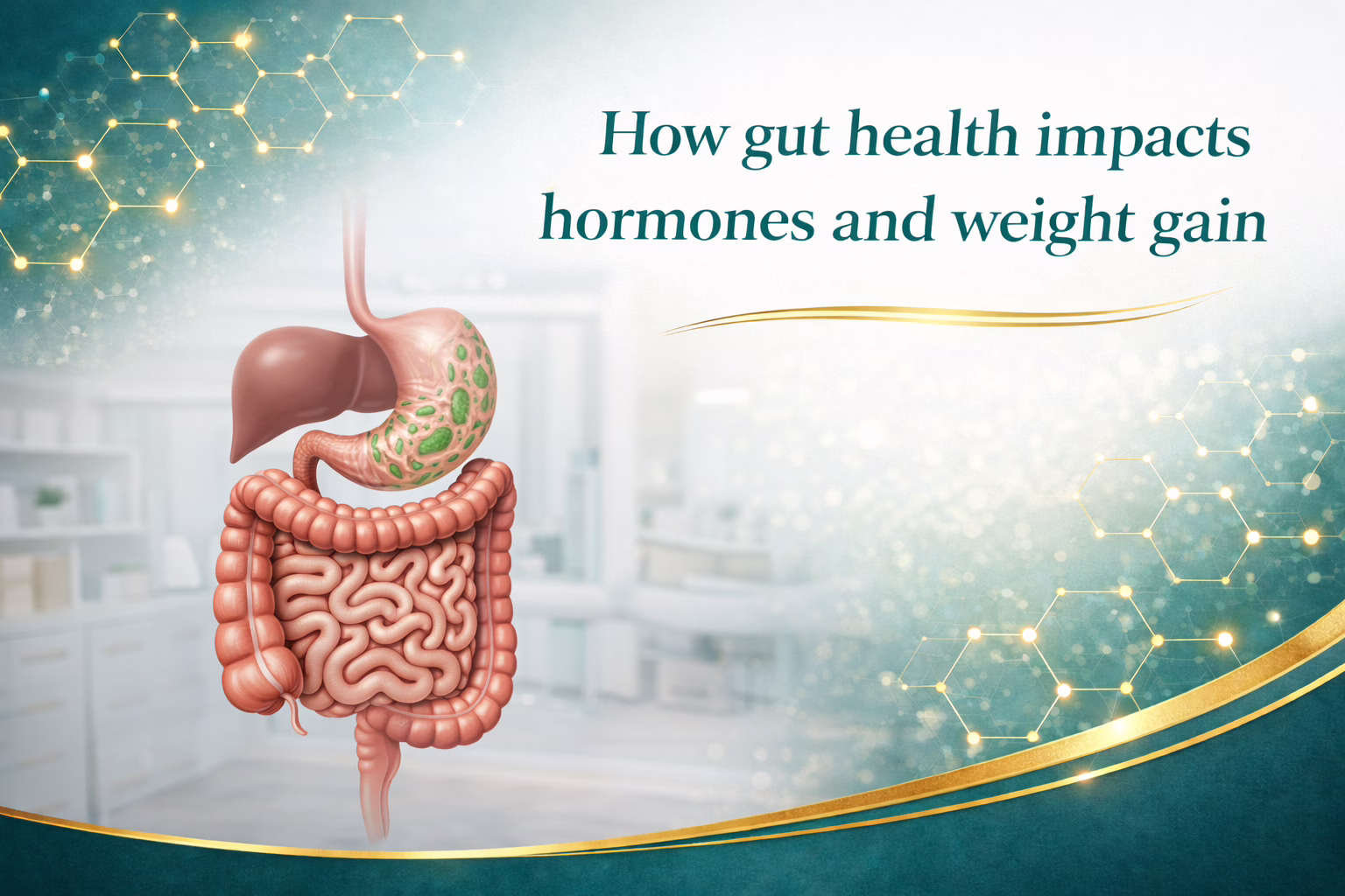 How gut health impacts hormones and weight gain blog header by Eternal Vitality in Orlando Florida
