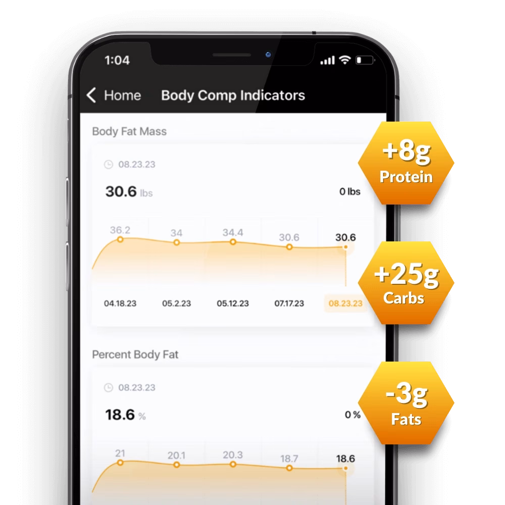 Body composition and progress tracking inside Vitality Nutritional Guidance